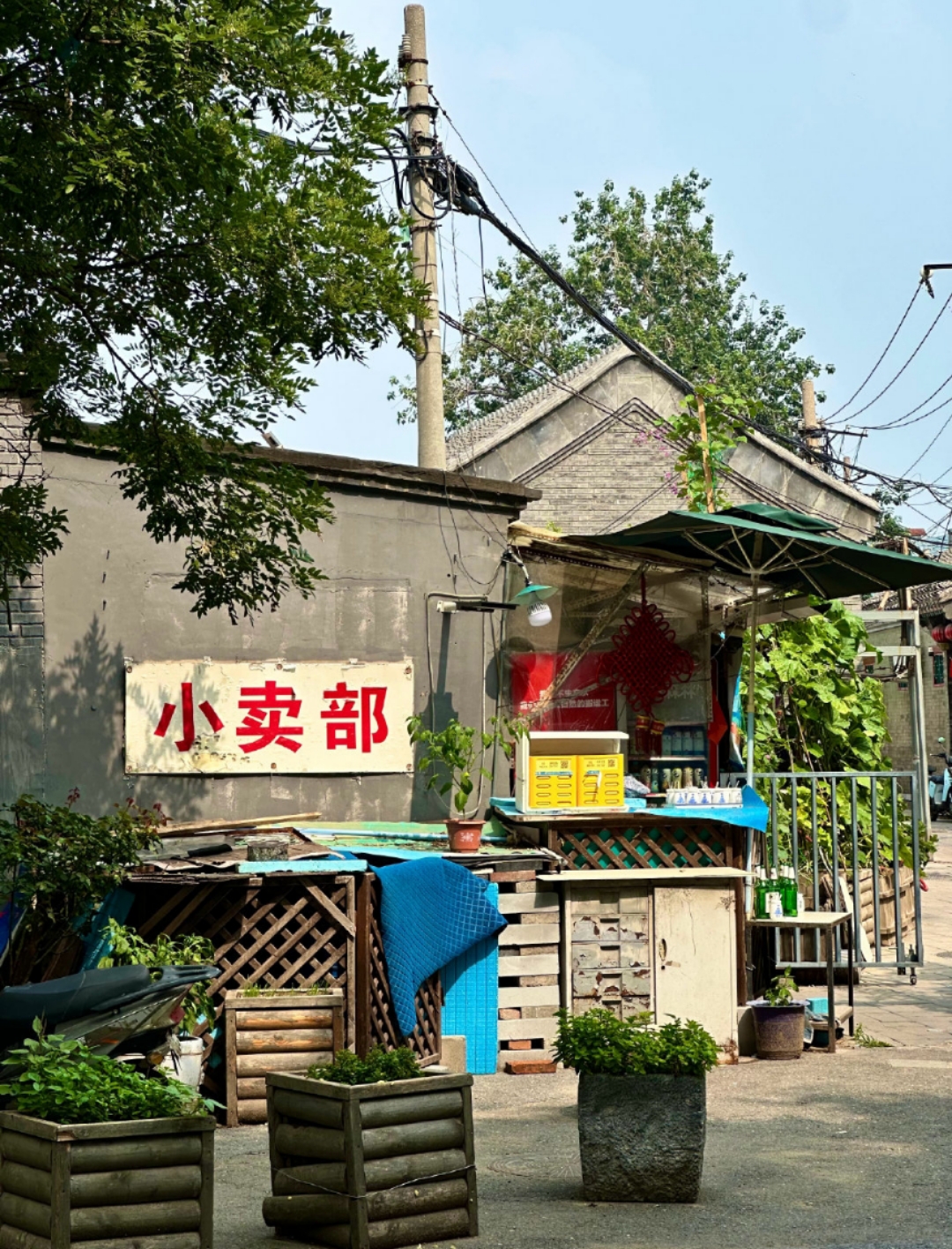 1751765339977945.jpg 前门大街12.jpg