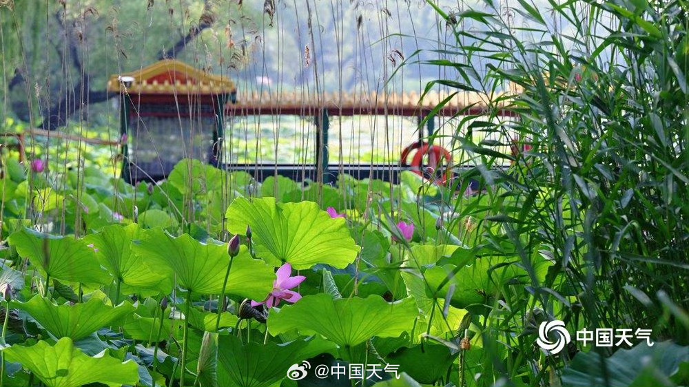 1751767733420586.jpg 颐和园13.jpg