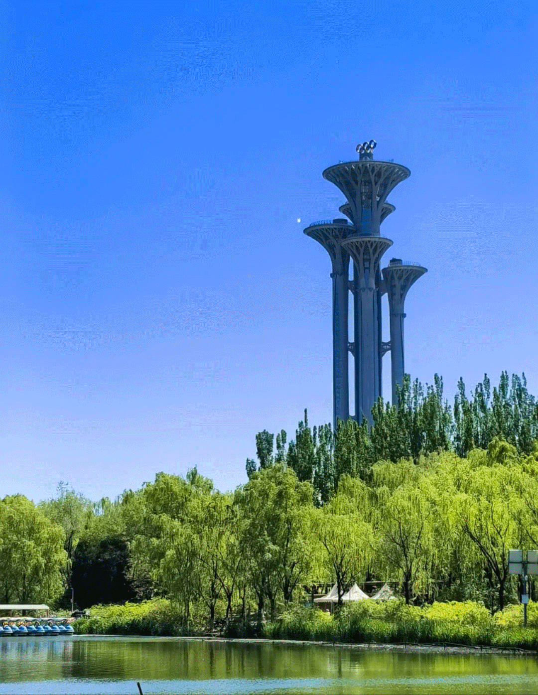 1751778886132073.gif 奥林匹克动.gif
