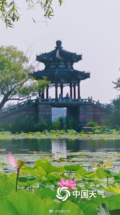 1751781837120068.jpg 颐和园14.jpg