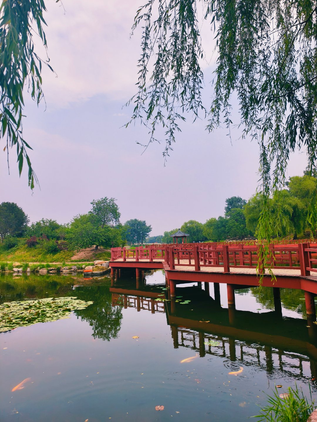 1751787673161736.jpg 圆明园2.jpg