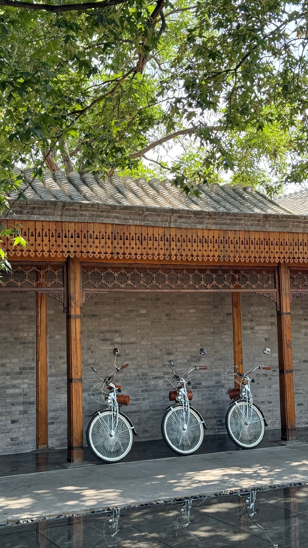1751787700152425.jpg 前门大街23.jpg