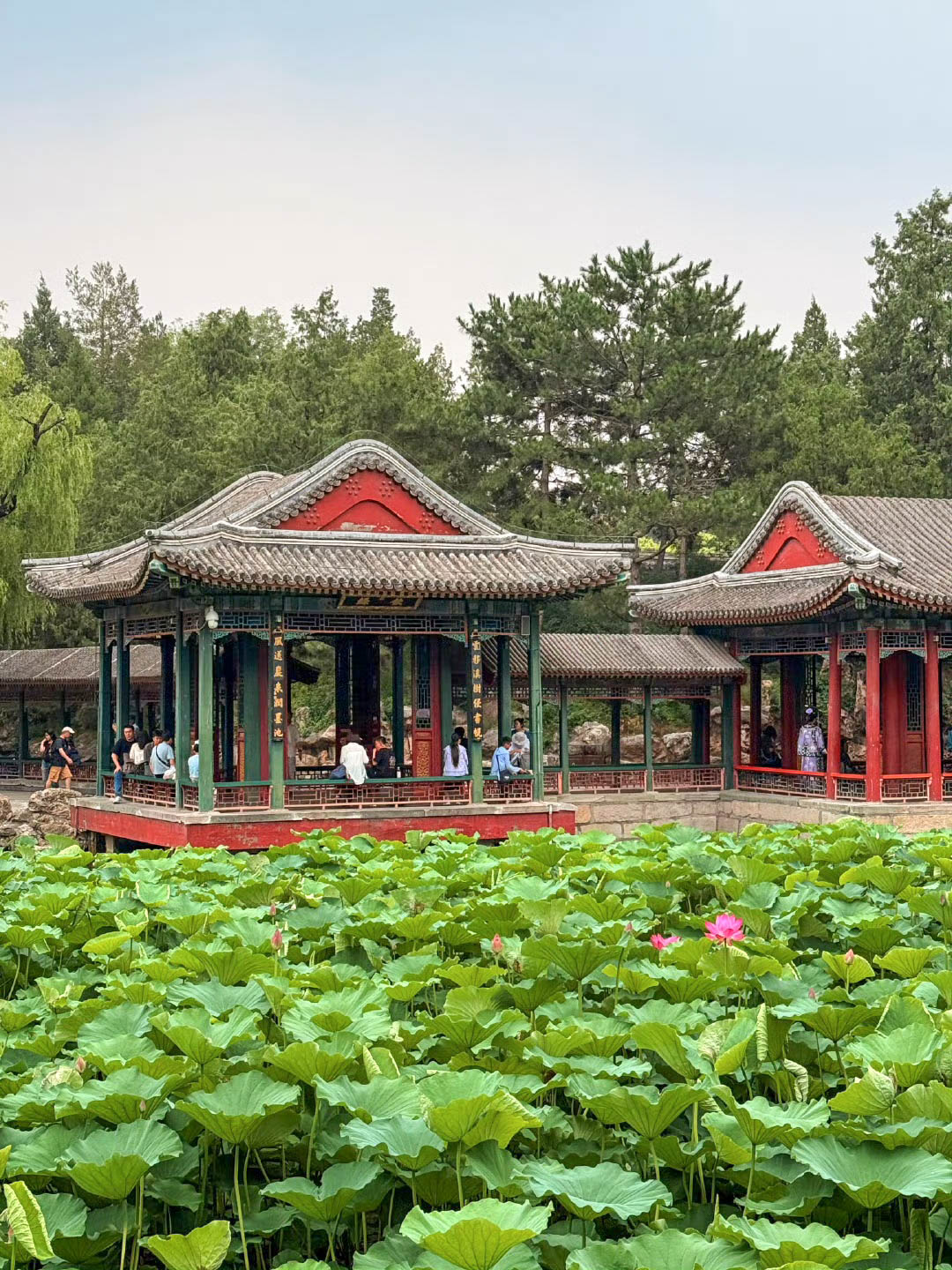 1751788976207700.jpg 颐和园24.jpg