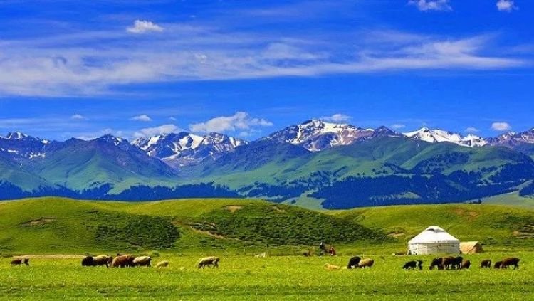 天山天池·阿禾公路·喀纳斯禾木·双飞新疆8天7晚